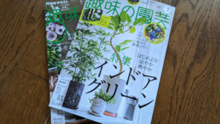 雑誌「趣味の園芸（2022年7月号）」