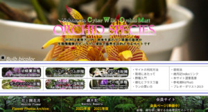 ウェブサイト「Cyber Wild Orchid」