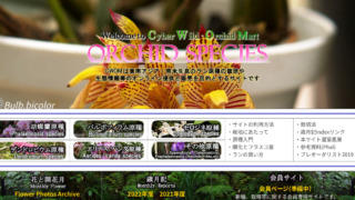 ウェブサイト「Cyber Wild Orchid」