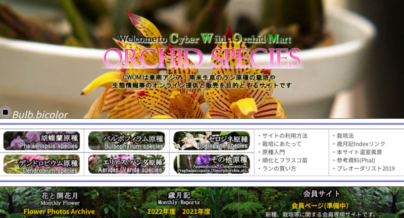 ウェブサイト「Cyber Wild Orchid」